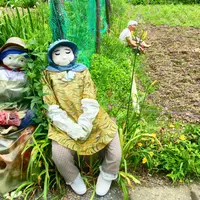 天空の村・案山子の里の写真・動画_image_36429
