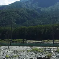 大正池の写真・動画_image_36497