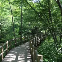 田代池の写真・動画_image_36531