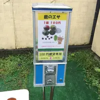 鹿苑の写真・動画_image_36574