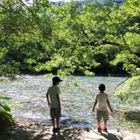 穂高橋・田代橋の写真・動画_image_36602