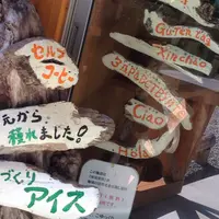 雨滝の写真・動画_image_36931