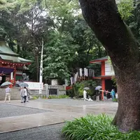 來宮神社の写真・動画_image_36946