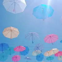 淡路島国営明石海峡公園の写真・動画_image_371272
