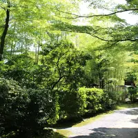 有楽苑の写真・動画_image_37208