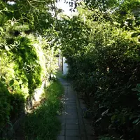 和田塚の写真・動画_image_37215