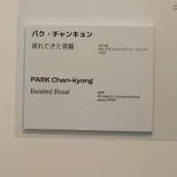 横浜美術館の写真・動画_image_372574