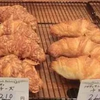 エフラボ (F.labo)の写真・動画_image_37347