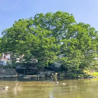 けやき水源の写真・動画_image_377149