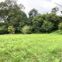 下町公園の写真・動画_image_378397