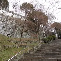 唐津城の写真・動画_image_3796