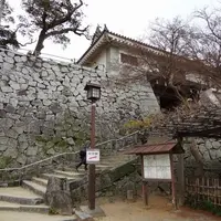 唐津城の写真・動画_image_3797