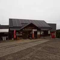 甘夏かあちゃんの写真・動画_image_3801