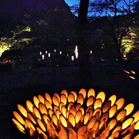 御船山楽園の写真・動画_image_38052