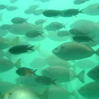 マリンパル呼子の写真・動画_image_3807