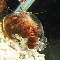 夢みなとタワーの写真・動画_image_38361
