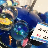 夢みなとタワーの写真・動画_image_38369
