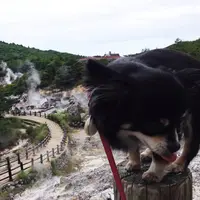 小浜温泉の写真・動画_image_38656