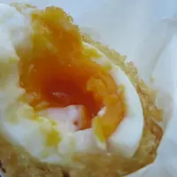 ほったらかし温泉の写真・動画_image_3872