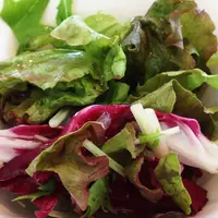 はいさいキッチンの写真・動画_image_38750