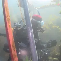 根府川ダイビングセンターの写真・動画_image_3882