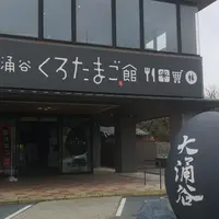 大涌谷の写真・動画_image_388330