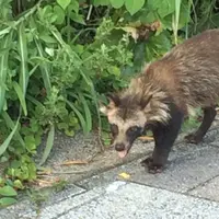樫野崎の写真・動画_image_38876