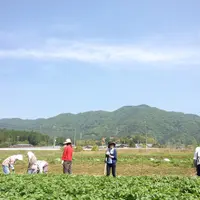 美しい田んぼの風景の写真・動画_image_3895