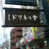 ミドリネコ舎の写真・動画_image_39206