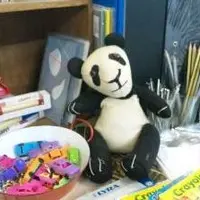 ミドリネコ舎の写真・動画_image_39207