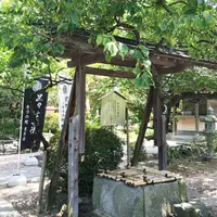 太宰府天満宮の写真・動画_image_39214