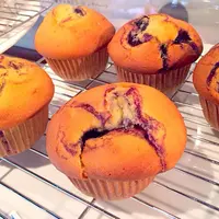 メトロポールマフィンの写真・動画_image_39222