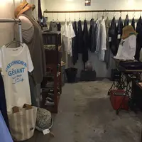 土橋市場の写真・動画_image_39426