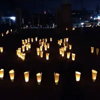 別府公園の写真・動画_image_39807