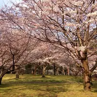 別府公園の写真・動画_image_39810