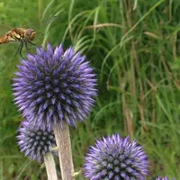 長者原の写真・動画_image_39928