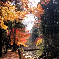 寂地峡の写真・動画_image_399706