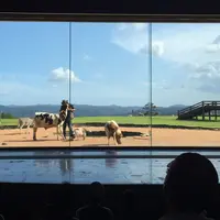 マザー牧場の写真・動画_image_40018