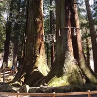 河口浅間神社の写真・動画_image_40086