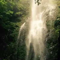 朝見神社の写真・動画_image_40137