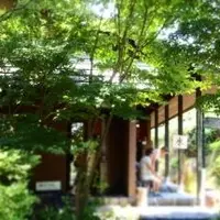 くらしギャラリー ぶどうのたねの写真・動画_image_40149