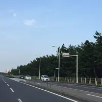 パシフィックガーデン茅ヶ崎の写真・動画_image_40305