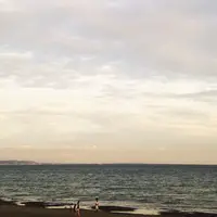 ヘッドランドビーチ (Ｔバー）の写真・動画_image_40308