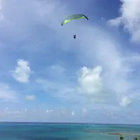 知念岬公園の写真・動画_image_40335