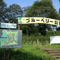 道の駅 川場田園プラザの写真・動画_image_4048