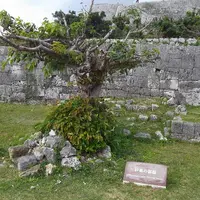 勝連城跡の写真・動画_image_4052