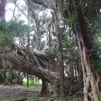 浜比嘉島の写真・動画_image_4056