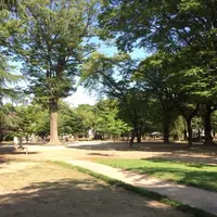 高崎公園の写真・動画_image_40670