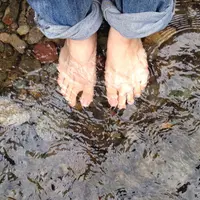 ソマリアンの写真・動画_image_40827