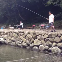 ソマリアンの写真・動画_image_40828